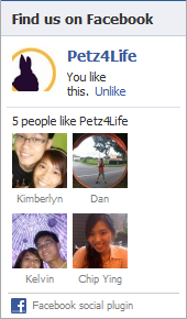 Facebook Like Box